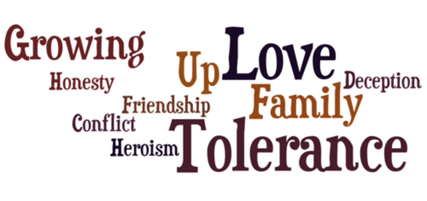 <p>a central message or insight into life revealed through a literary work.</p>