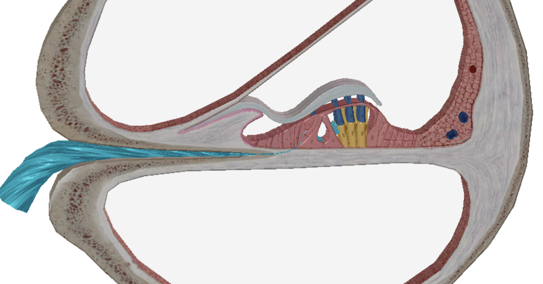 <p>what is highlighted </p>