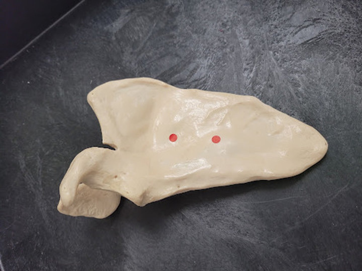 knowt flashcard image