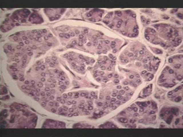 <p>What is this?</p>