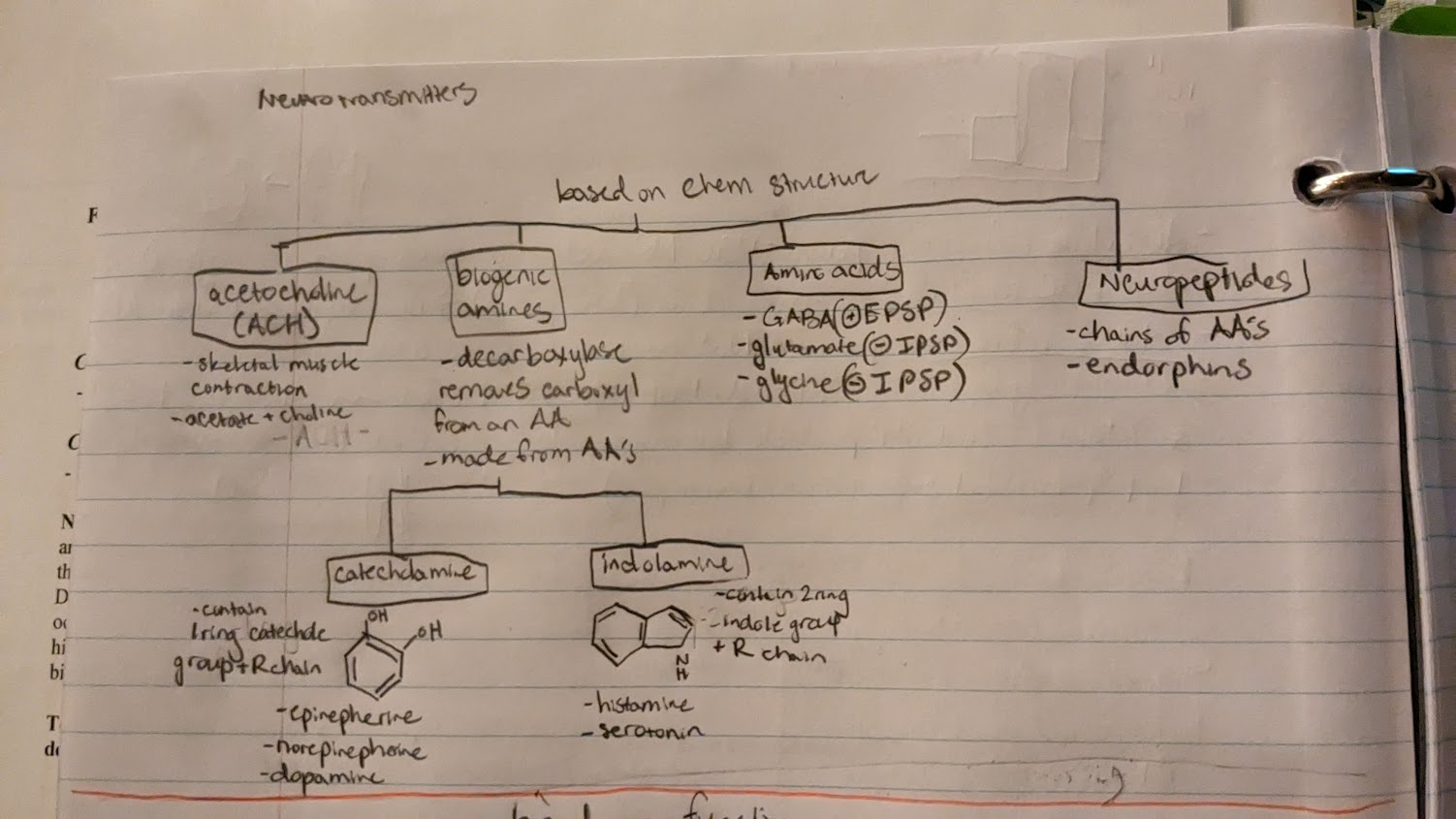 knowt flashcard image