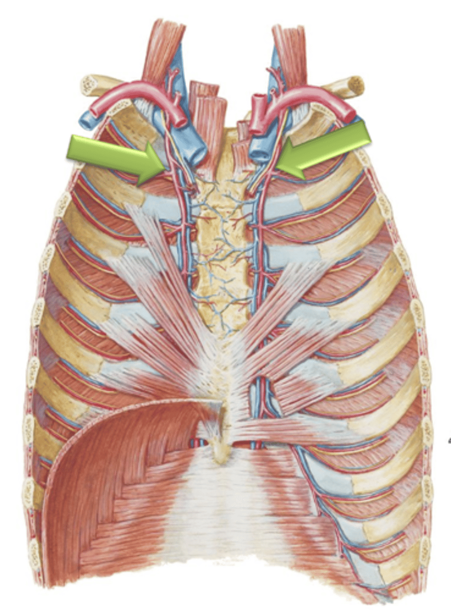 <p>The Internal Thoracic Arteries course distally along the internal thoracic wall just lateral to the sternum and give off ___ ___ ___ which supply internal thoracic tissues and intercostal muscles.</p>