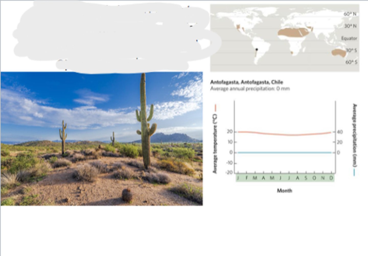 <p>hot temperatures, scarce rainfall, long growing seasons, and sparse vegetation</p>