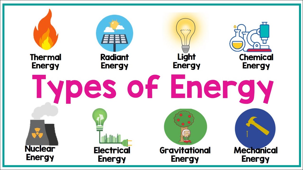 <p>Light</p><p>Heat</p><p>Mechanical</p><p>Chemical Potential</p><p>Electrical/Ion Gradient</p>