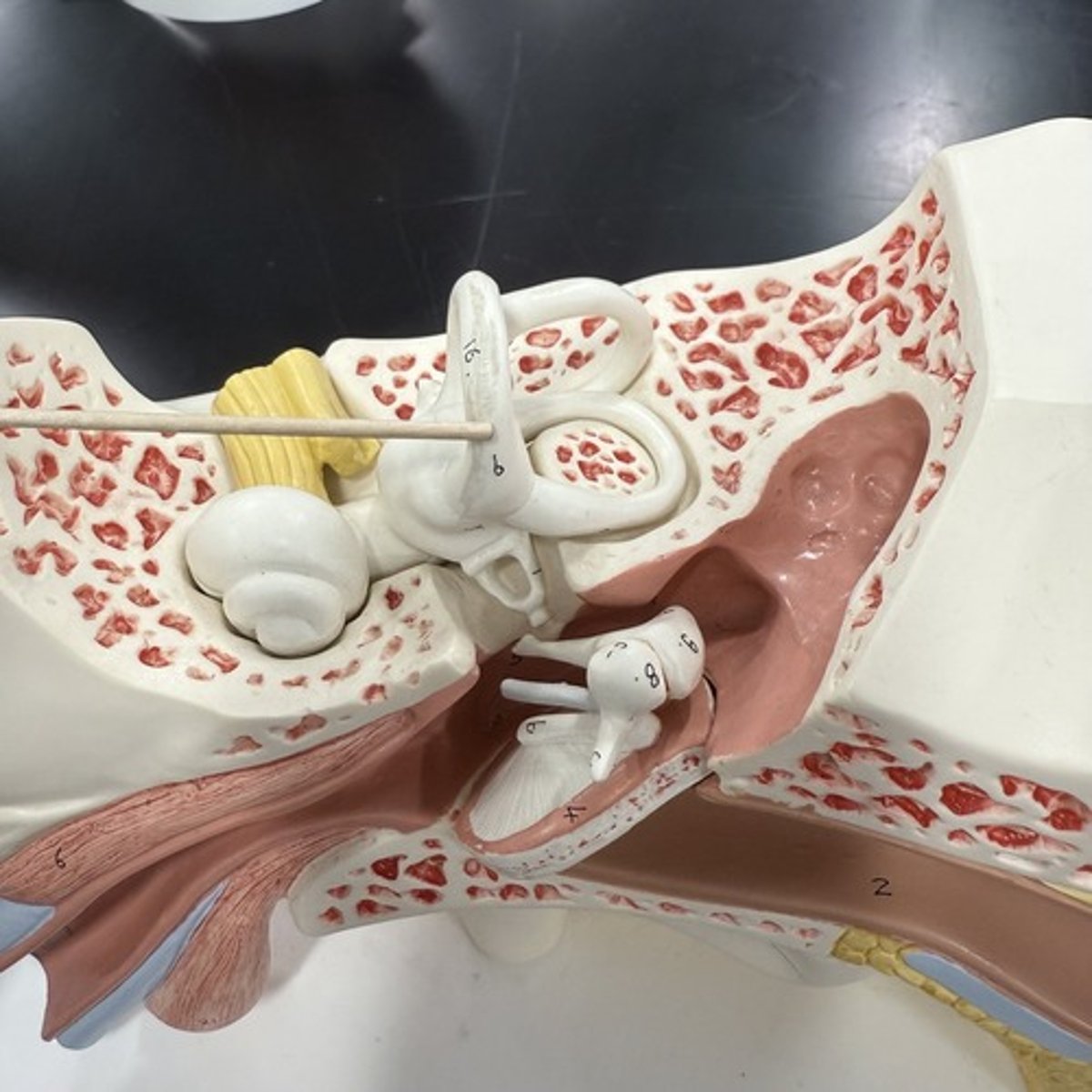 <p>What is this structure?</p>