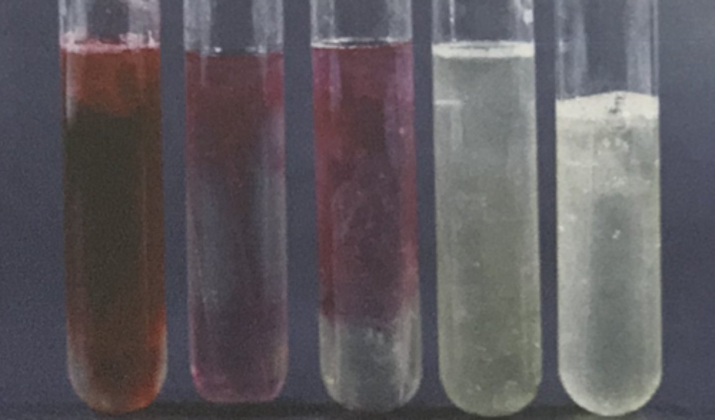 <p>NITRATE REDUCTION TEST</p><p>If the medium doesn't change color after adding zinc, then the organism has reduced nitrate to nitrite. Would this be a negative or positive result?</p>