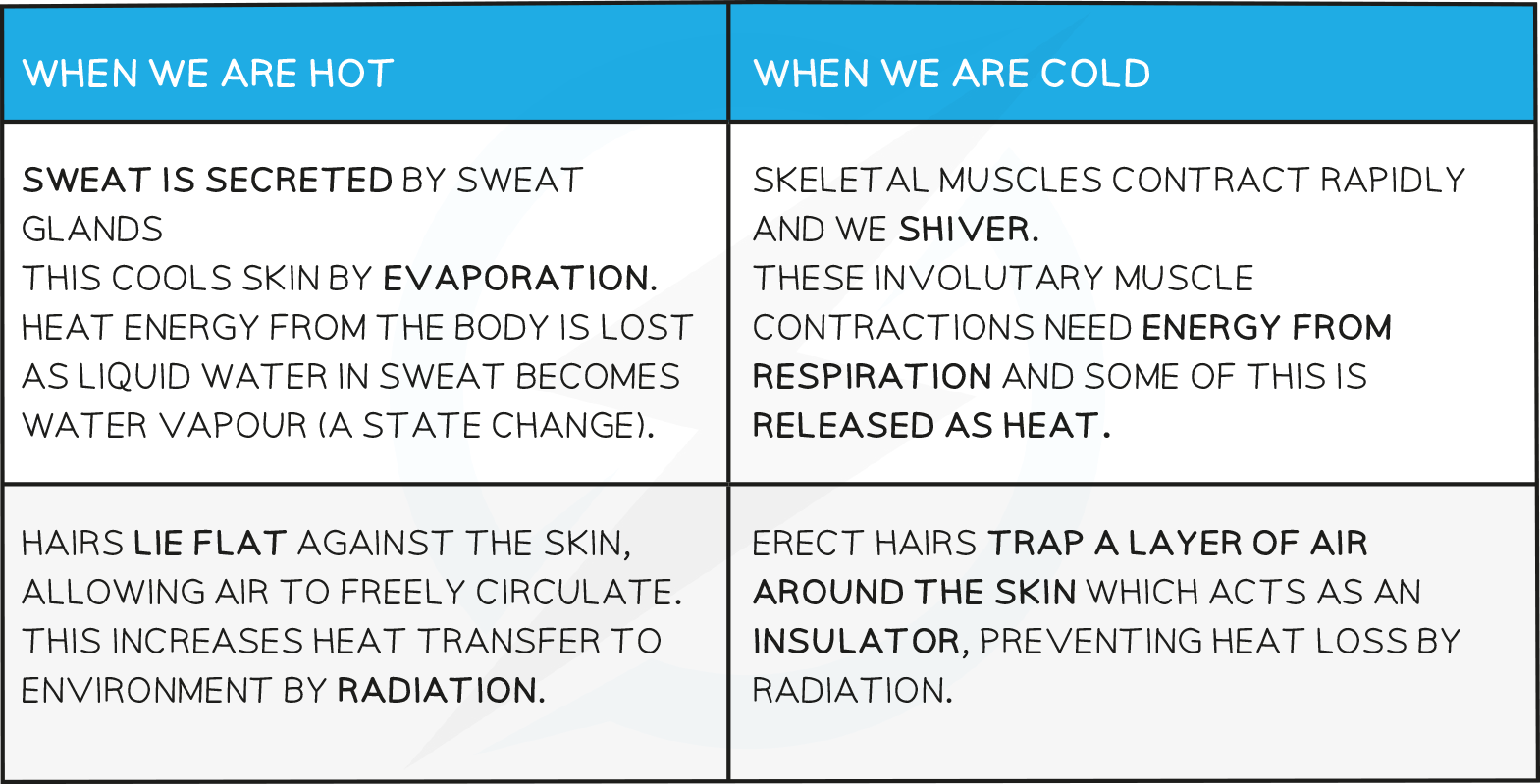 <ul><li><p>Regulation is controlled by the <strong>brain</strong> which contains <strong>receptors</strong> sensitive to the temperature of the<strong> blood</strong>&nbsp;</p></li><li><p>The <strong>skin</strong> also has <strong>temperature receptors</strong> and sends nervous impulses to the brain via <strong>sensory neurones</strong></p></li><li><p>The brain responds to this information by sending nerve impulses to <strong>effectors</strong> in the skin to <strong>maintain the temperature within a narrow range of the optimum, 37°C</strong></p></li><li><p><strong>Fatty tissue </strong>under the dermis acts as a layer of<strong> insulation</strong> to prevent too much body heat being lost through the skin</p></li></ul><p></p>