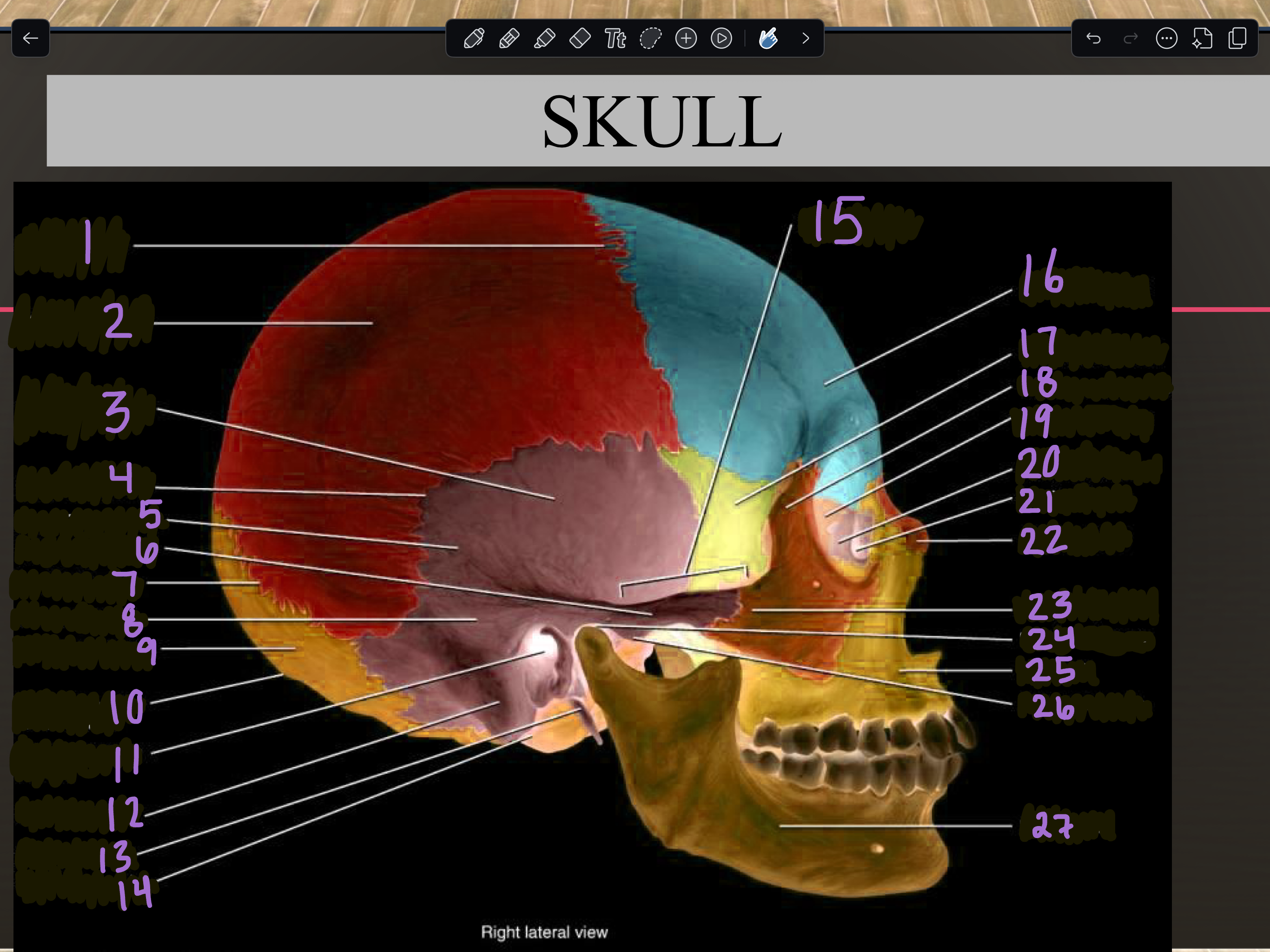 <p>14</p>
