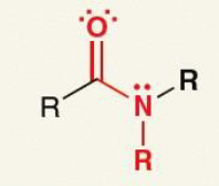 <p>What is the name of this functional group?</p>