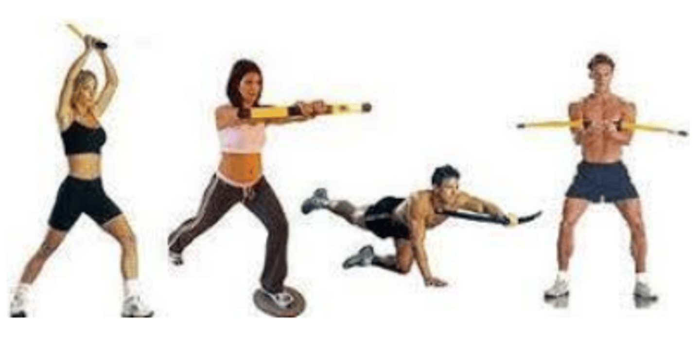 <p>Form of dynamic stabilization using the equipment in same positions of the GH joint.</p>