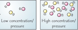 <ol><li><p>An increase is concentration means there are more particles in a given volume so more collisions</p></li><li><p>Similarly when pressure is increased the same number of particles are in a smaller volume so once again more collisions</p></li></ol>