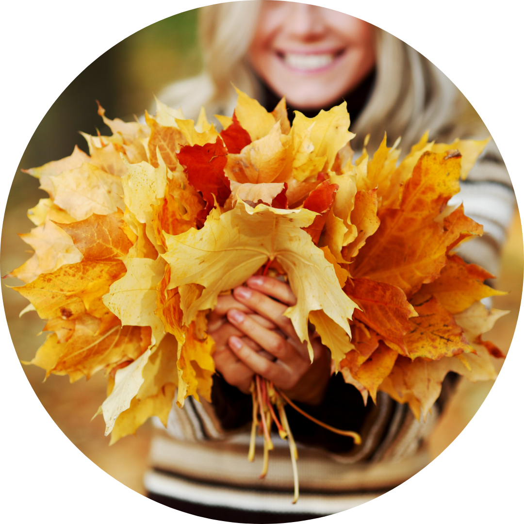 <p><strong>to gather colourful, fallen parts of trees during the fall season</strong><br><br><span style="color: #000000">My friends and I gather to collect autumn leaves for our art projects every year.</span></p>