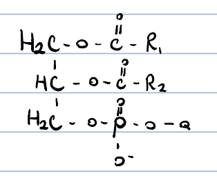 esters of glycerol w. fatty acids and phosphoric acid, in which the phosphoric acid is also esterified by an other alcohol