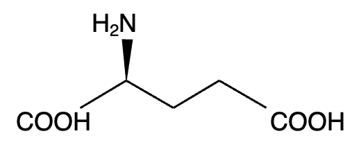 <p>Glutamate is the main excitatory neurotransmitter in the central nervous system. It plays a crucial role in synaptic plasticity, learning, and memory.</p><p></p><p>ACTIVATES IONOTROPIC RECEPTORS</p><p></p>