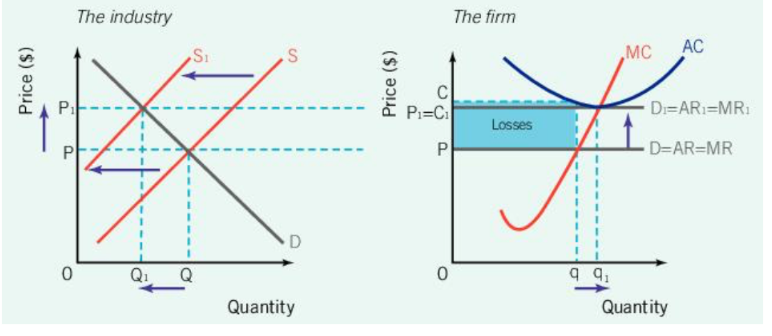 <p>Perfect Competition: Profits and Losses (Long Run) (Short-run losses to long-run normal profits)</p><p>Firms exit the market because of</p>