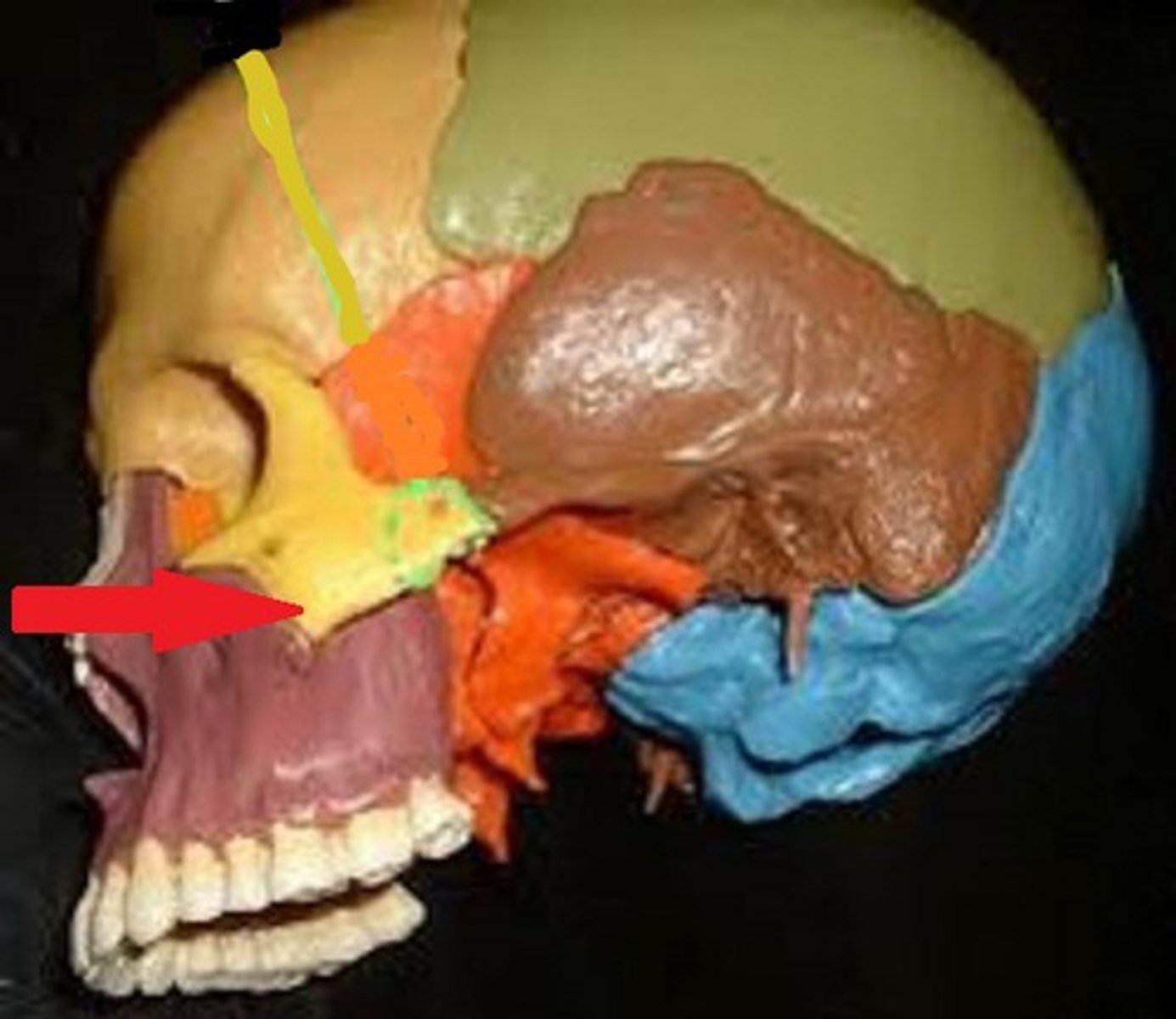 knowt flashcard image
