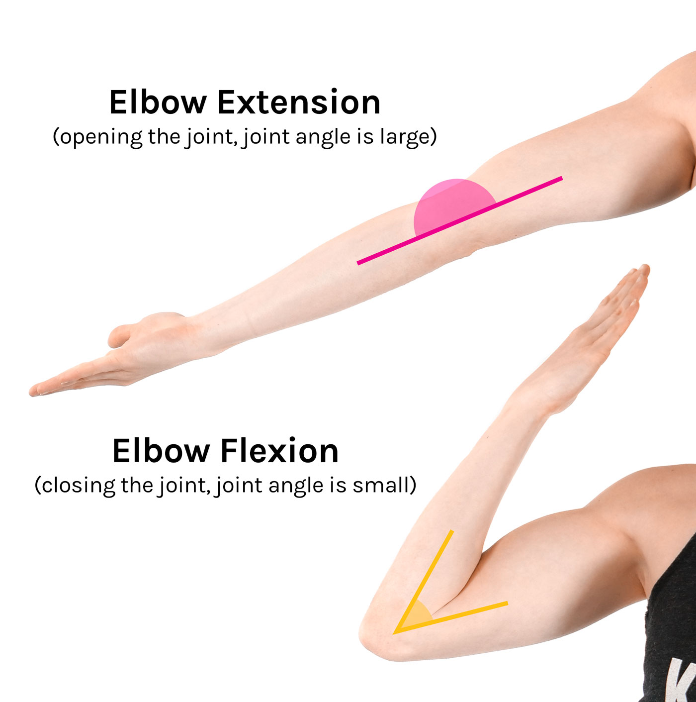 <p><span>Straightening a body part.</span></p>