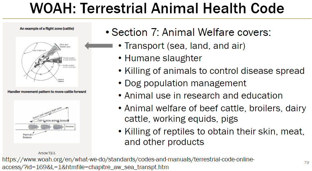 <p><strong>Topics Covered</strong><br> Transport of animals (sea, land, and air)<br> Humane slaughter<br> Killing animals to control disease spread<br> Dog population management<br> Animal use in research and education<br> Animal welfare of beef cattle, broilers, dairy cattle, working equids, pigs<br> Killing of reptiles to obtain skin, meat, and other products</p>