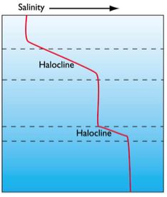 <p>Define a halocline</p>