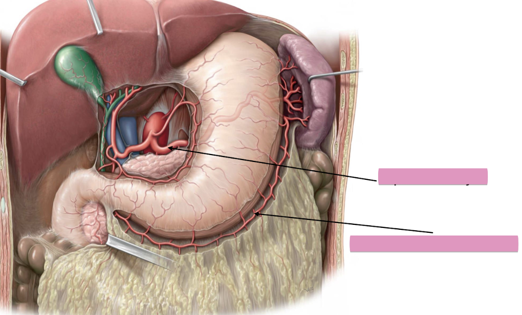 <p>Fill in the blank </p>