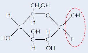 <p>(beta - H is <u>on bottom</u>)</p>