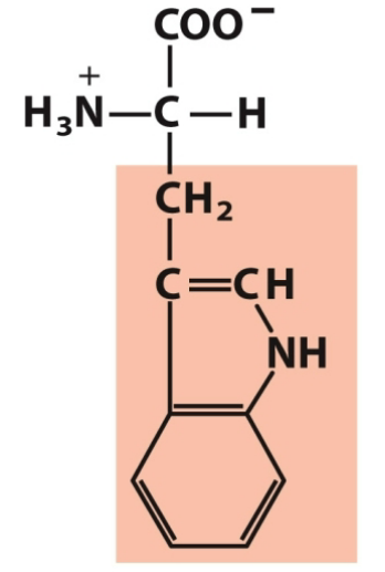 <p>Nonpolar, aromatic</p>