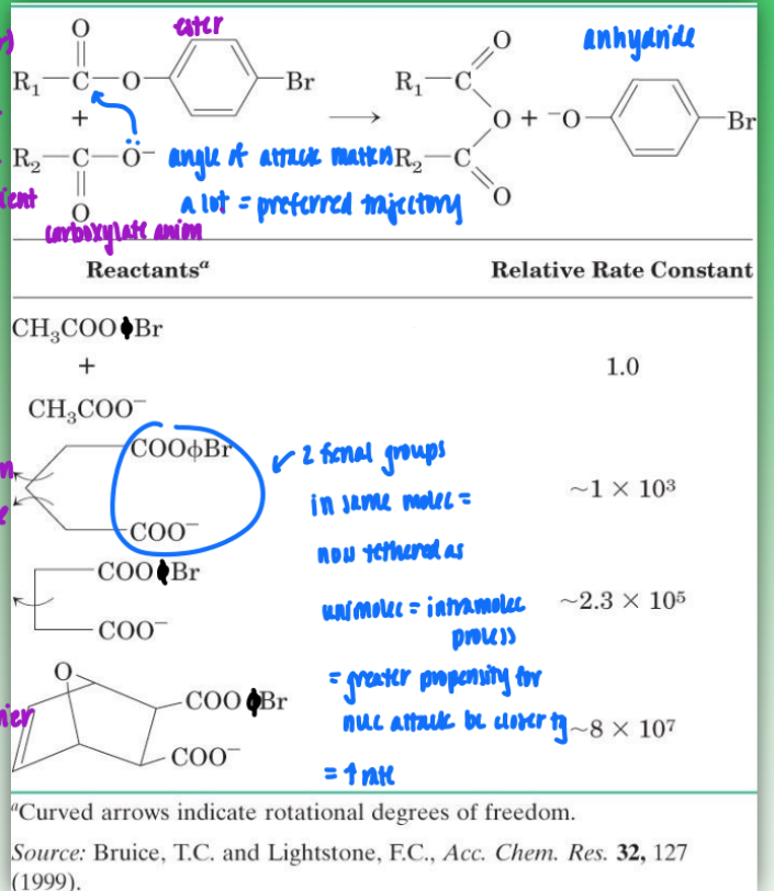 <ul><li><p>without enzyme = bimolecular process (intermolecular)</p><ul><li><p>2 reactants</p></li><li><p>angle of attack has a very specific preferred trajectory&nbsp;</p></li><li><p>very inefficient and time-consuming</p></li></ul></li><li><p>with enzyme = unimolecular (intramolecular)</p><ul><li><p>enzyme reorients reactants/substrates to enhance rate</p><ul><li><p>tethers molecs together</p></li><li><p>= greater propensity for nuc attack bc closer tg</p></li></ul></li><li><p>removes time needed for O- to find perfect angle = increase rate</p></li></ul></li></ul><p></p>