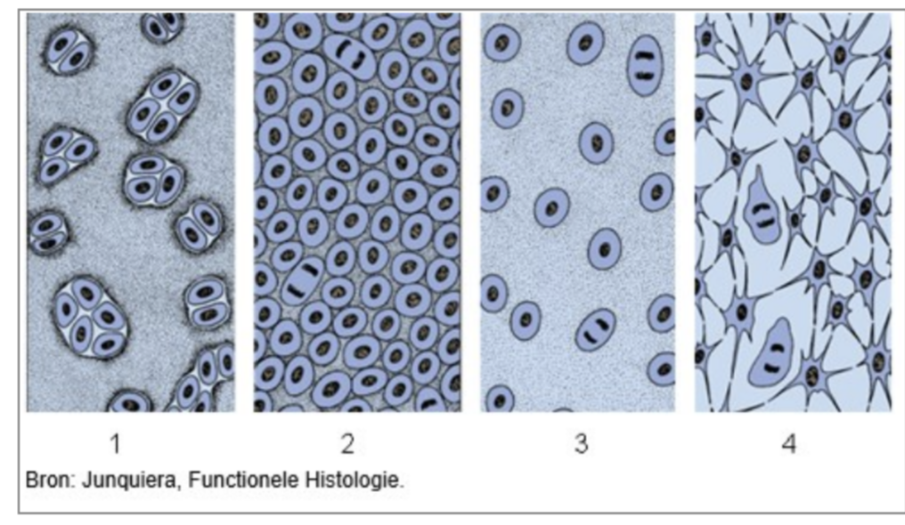<p>Juiste volgorde</p>