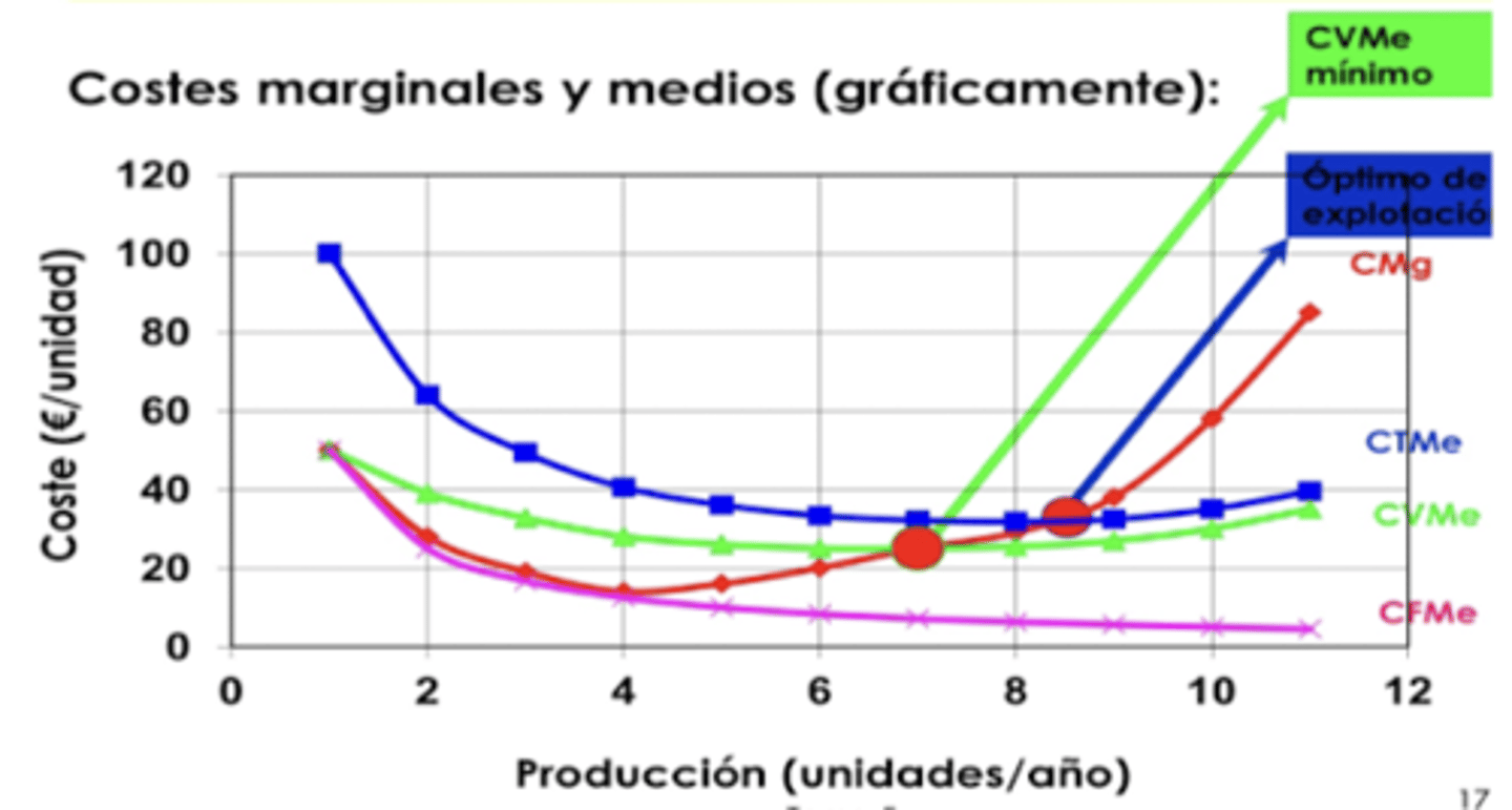 <p>CMg</p><p>(punto óptimo de explotación)</p>