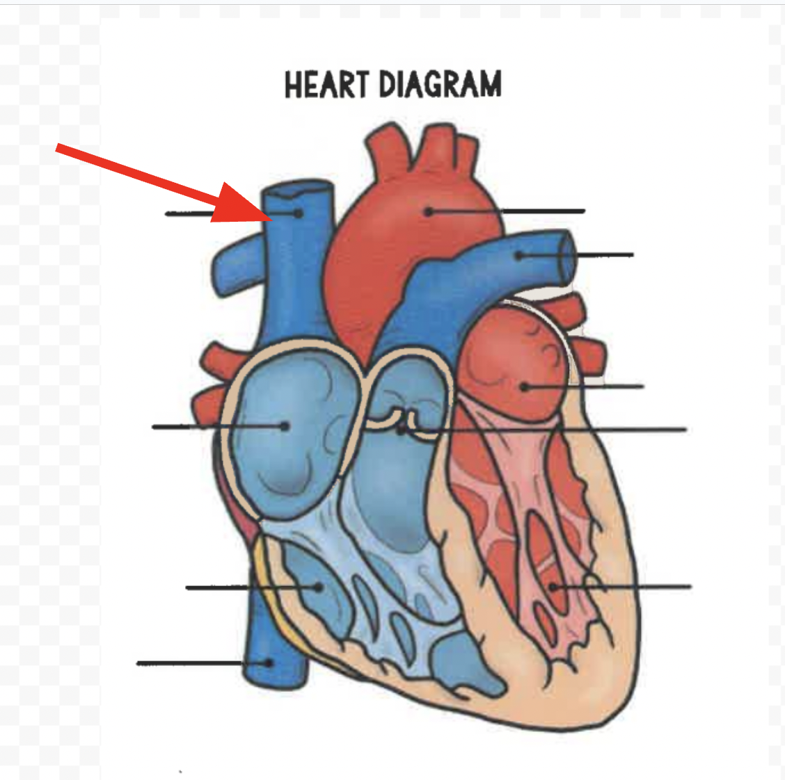term image