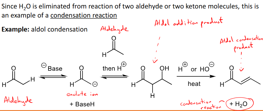 <ul><li><p>two carbonyls reacting to form a product with anew carbon-carbon bond</p></li><li><p>two aldehydes or two ketones react, one undergoes alpha substitution and the other undergoes nucleophilic addition. </p></li><li><p>H2O is eliminated making it a condensation reaction. </p></li><li><p>E.G Aldol condensation - two aldehydes reacting. </p></li></ul><p></p>