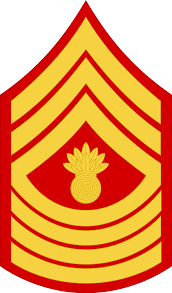 <p>Master Gunner Sergeant</p>