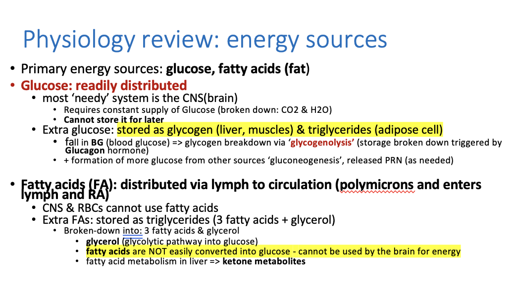<p>glucose, fatty acids (fat)</p>