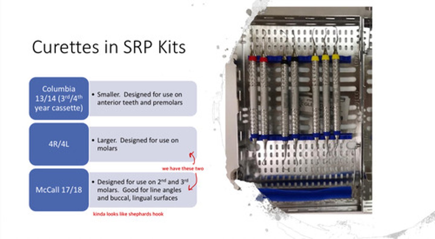 <p>4R/4L &amp; McCall 17/18</p>