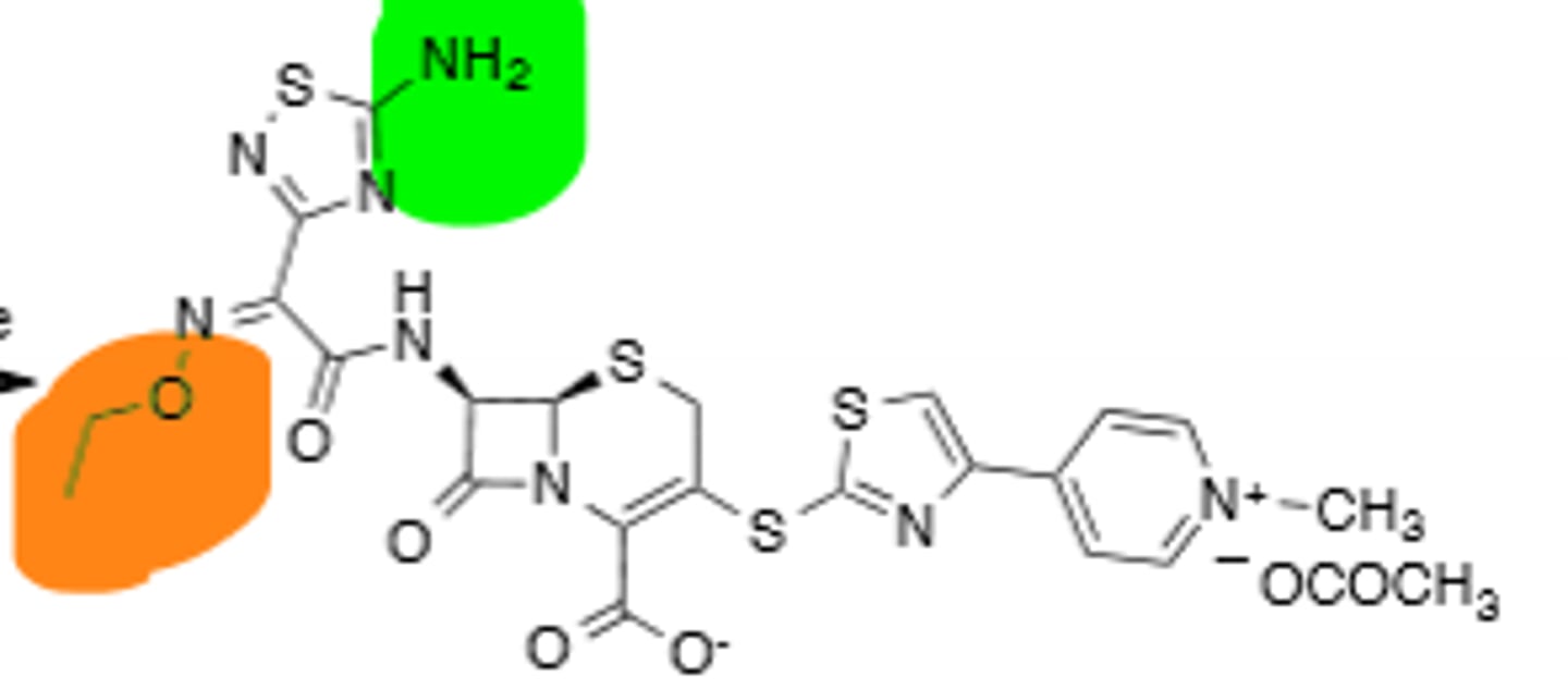 <p>5th Generation Cephalosporin, very broad spectrum coverage, agent can be used against MRSA, resistant to B-lactamases, good leaving group (Parenteral only), ceftaroline fosamil is the prodrug</p>