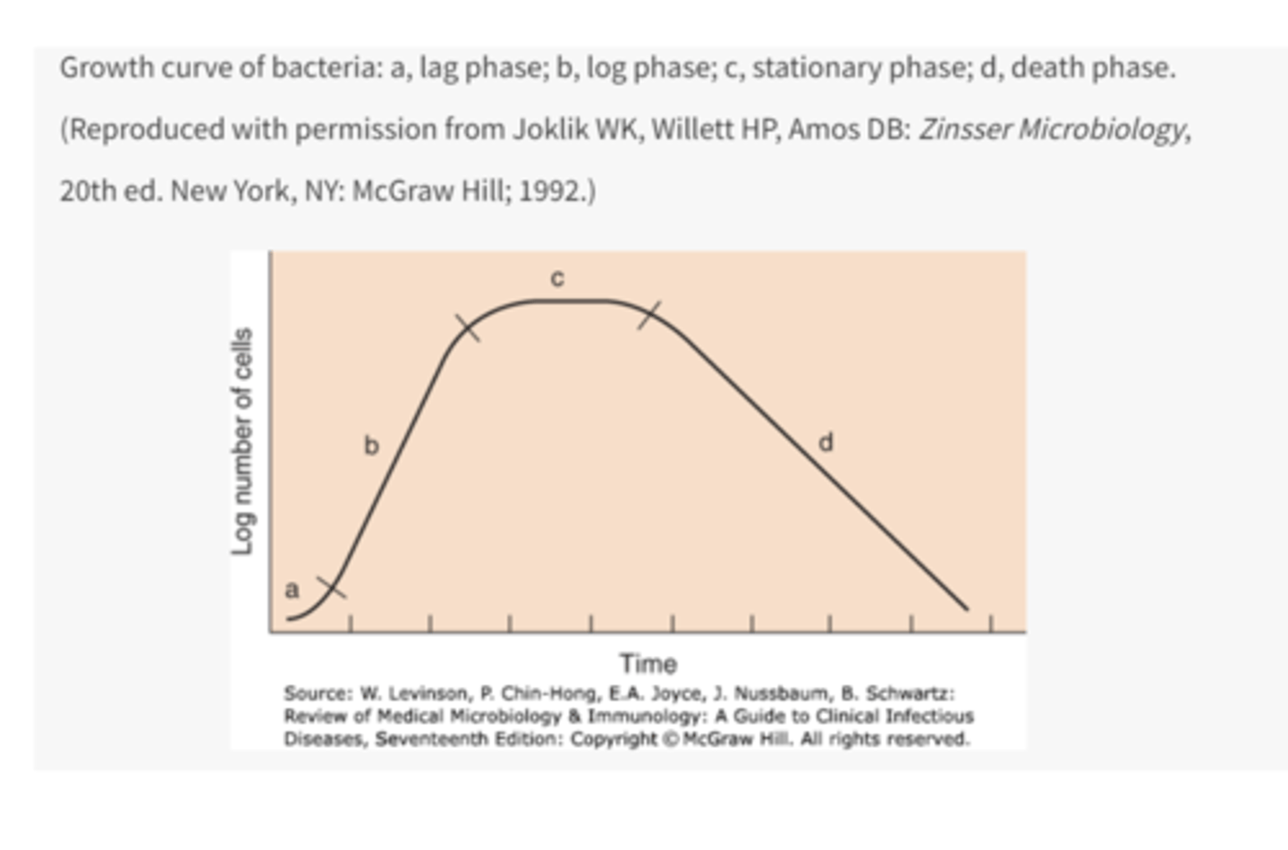 <p>nutrient depletion or toxic products cause growth to slow (number of new cells produced balances the number of cells that die)</p>
