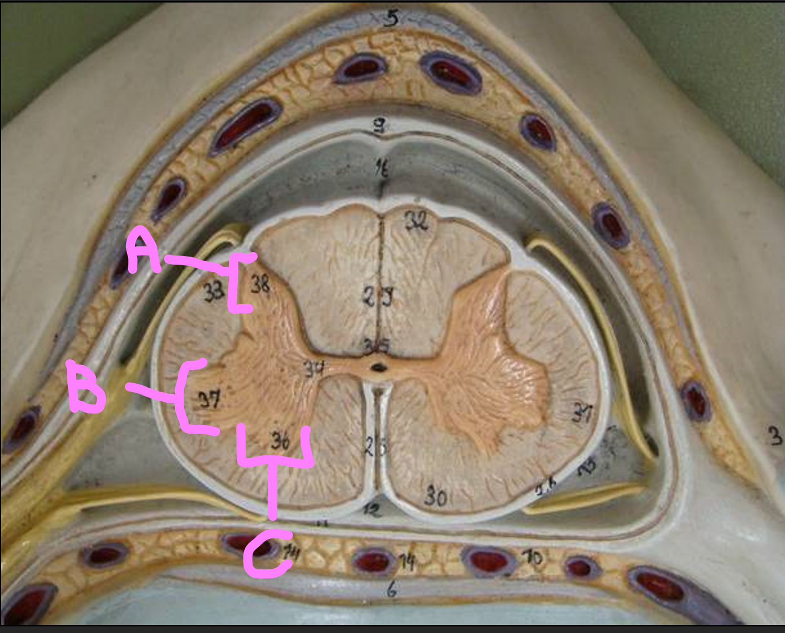 <p>What is C?</p>
