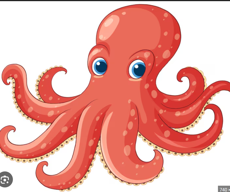 <p>octopus </p>