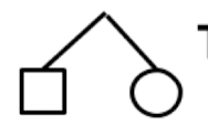 <p>what does this mean in a pedigree</p>