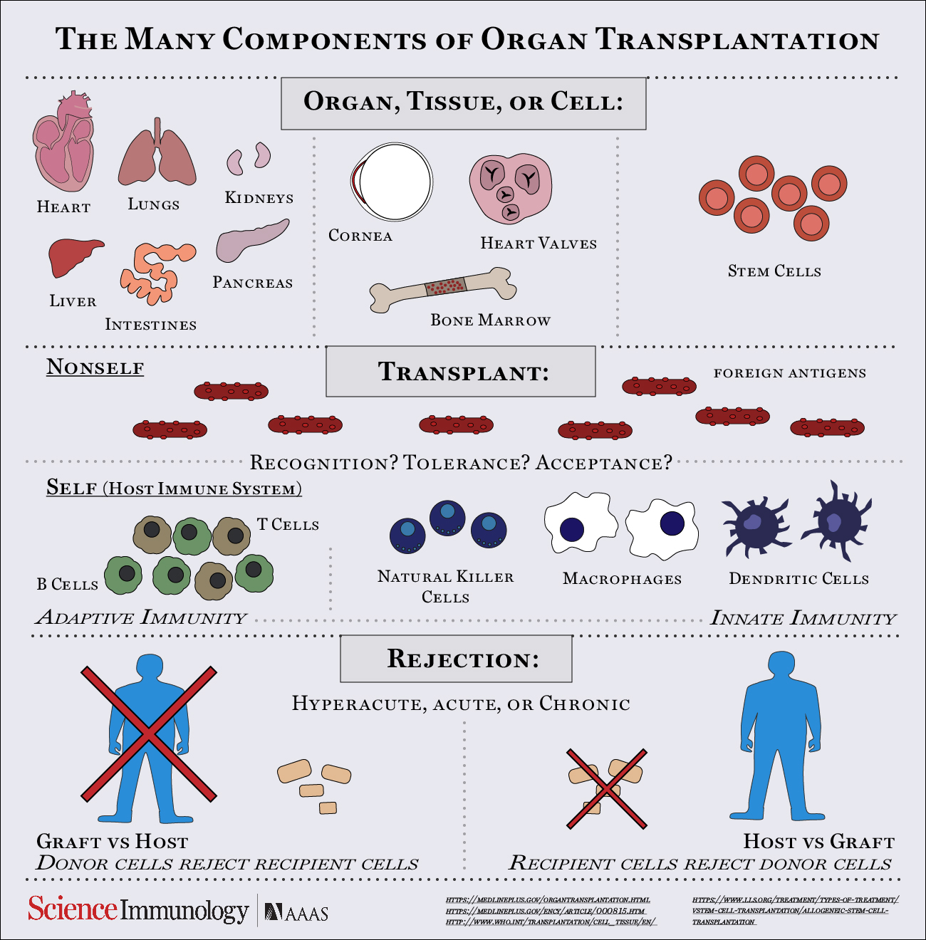 <p>Immune concern with organ transplant therapy </p>
