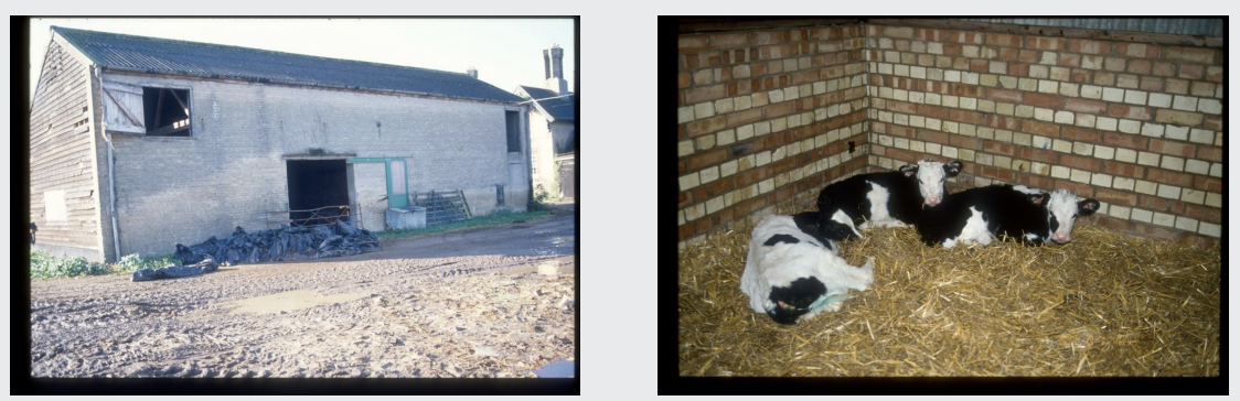 <p>Sometimes farms use adapted unused building to house calves</p><p>Ventilation and drainage are often sub-optimal</p><p>Calves may be kept singly or in groups</p>