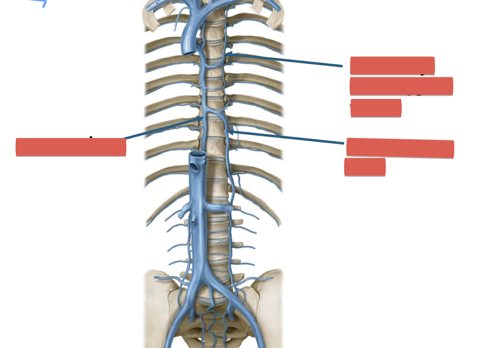 <p>Fill in the blank </p>