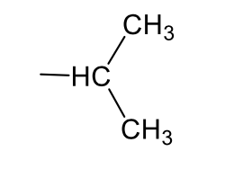 <p>iso-propyl</p>