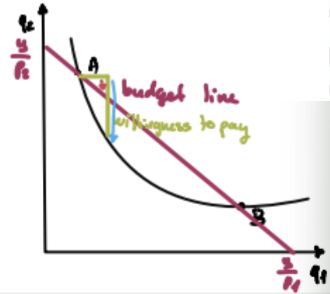 <ul><li><p>the entire budget must be spent</p></li><li><p>the consumption bundle is on the budget line</p></li><li><p>MRS = price ratio</p></li></ul><p>If slope of indifference curve = slope of budget line → interior solution → exchange rate at constant utility = exchange rate at constant expenses</p><p></p>