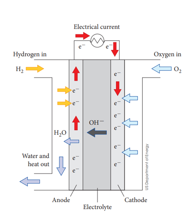<p>The alkaline hydrogen-oxygen fuel cell</p><p>•H<sub>2</sub> and O<sub>2</sub> are constantly supplied to the cell (gaseous hydrogen as reductant and gaseous oxygen as oxidant)</p><p>•The OH<sup>-</sup> electrolyte interacts with the reactants and H<sub>2</sub>O is released.</p><p>They circulate under pressure over porous nickel electrodes</p>