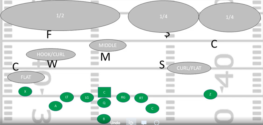<p>What kind of coverage is this</p>