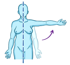 movement away from midline. menjauhi median