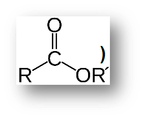 <p>Hhave the general formula R’-COOR, where R’ can be a hydrocarbon group or Hydrogen and R is a hydrocarbon group. They are used in the production of perfumes and as flavoring agents. The smell and flavor of many fruits come from the presence of small quantities of ____——-. are polar and water-soluble. </p>