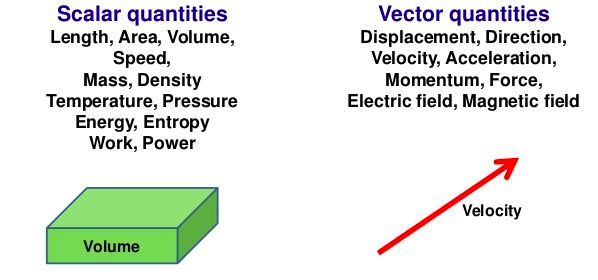 <p>scalars </p>
