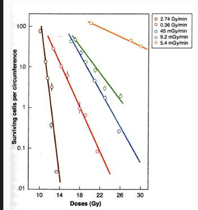 <p>at a lower dose rate, what do you need to cause the same amount of damage as high dose rates?</p>